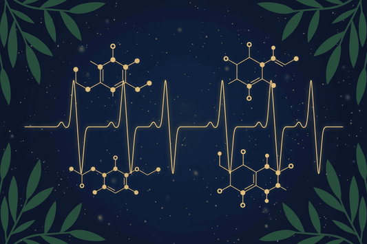 Kratom & Schlaf: Was berichten Nutzer – und was zeigt die Forschung? - Kratoein