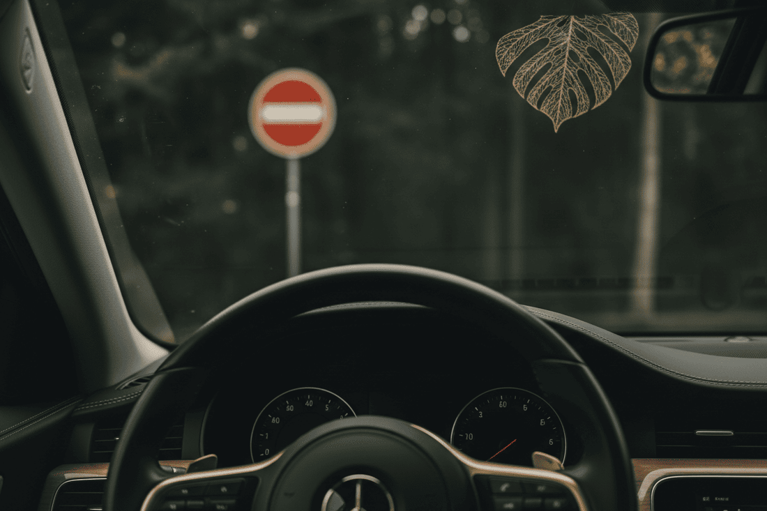 Kratom, StVO & MPU: Was Fahrer wissen müssen - Kratoein