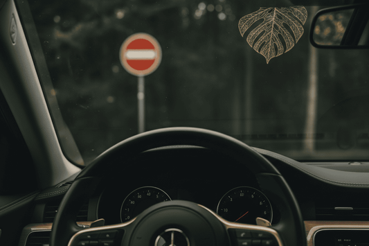 Kratom, StVO & MPU: Was Fahrer wissen müssen - Kratoein