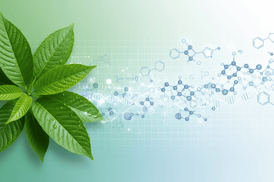 Was ist 7-Hydroxymitragynin ?