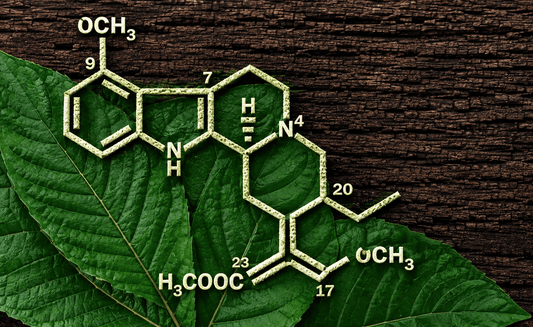 Wirkung von Kratom: was die Forschung zeigt – und was offen bleibt - Kratoein